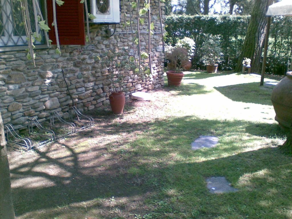 Villa Feltran Forte dei Marmi Pokój zdjęcie